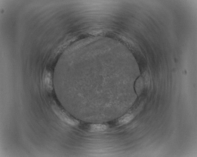 X0000076450234200610202342