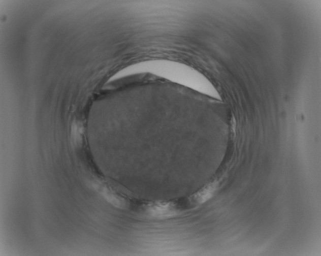 X0000076450235200610202342