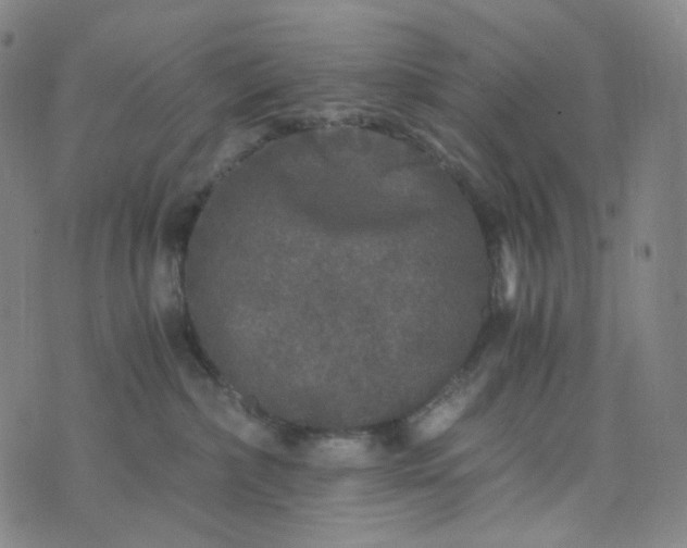 X0000076450236200610202342