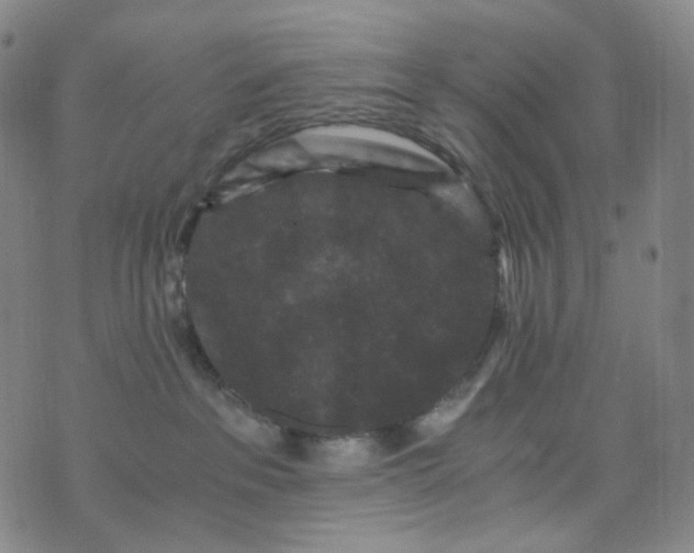 X0000076450237200610202342