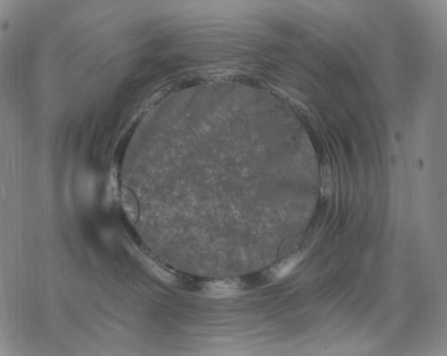 X0000076450238200610202342