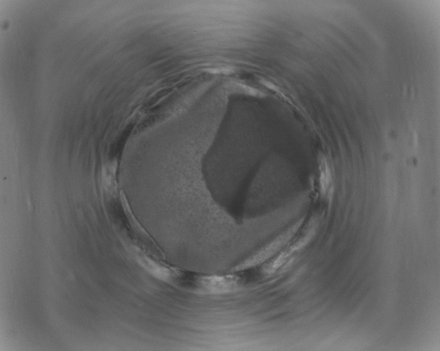 X0000076450239200610202342