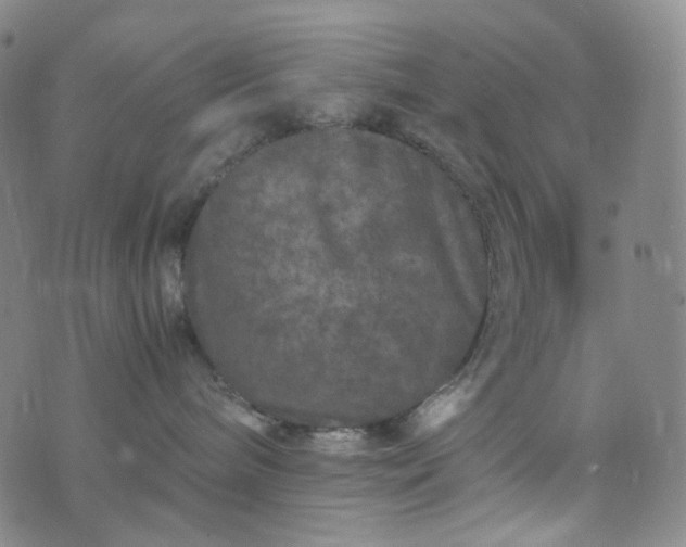 X0000076450240200610202342