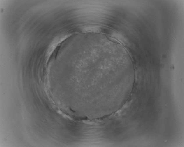 X0000076450241200610202342