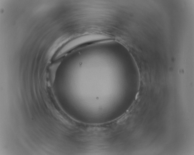 X0000076450242200610202342