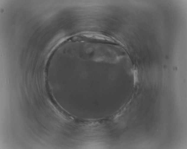 X0000076450243200610202342