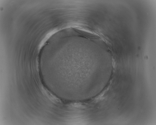 X0000076450244200610202342