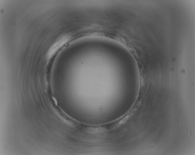 X0000076450245200610202342