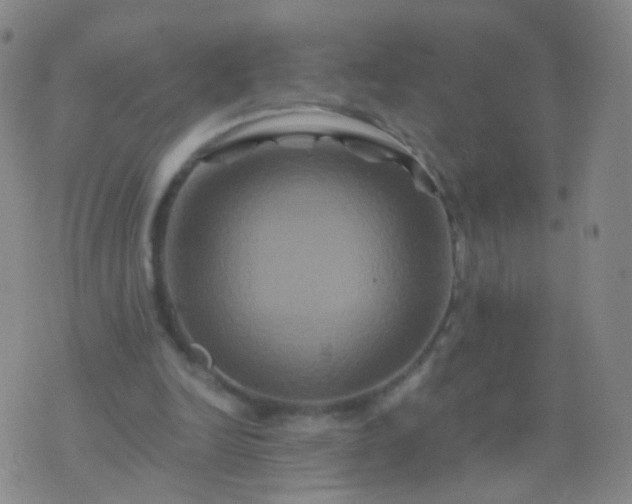 X0000076450246200610202342