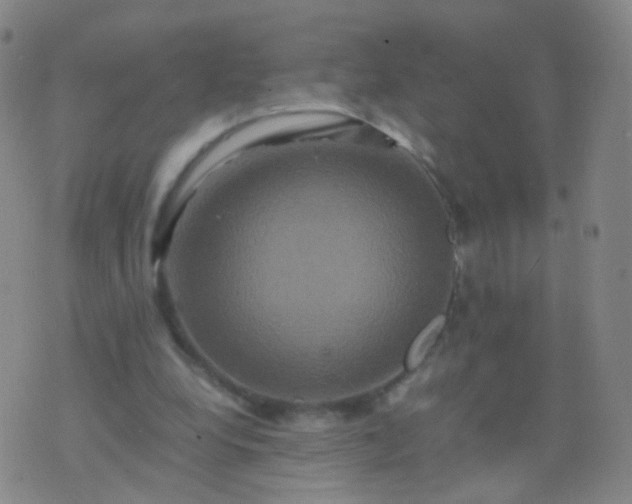 X0000076450248200610202342