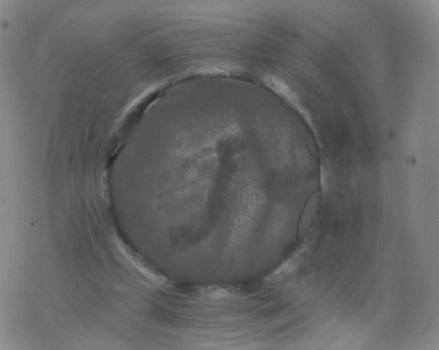 X0000076450249200610202342