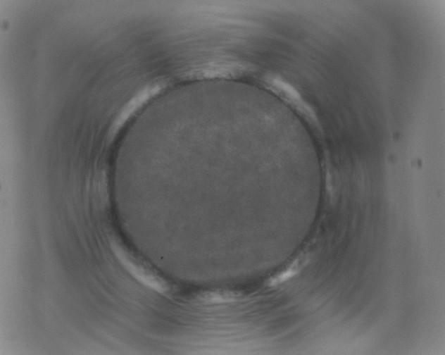 X0000076450250200610202342