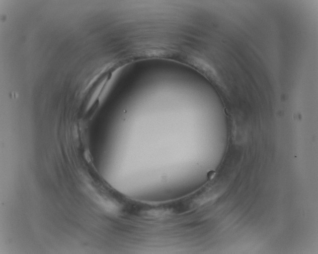 X0000076450251200610202342