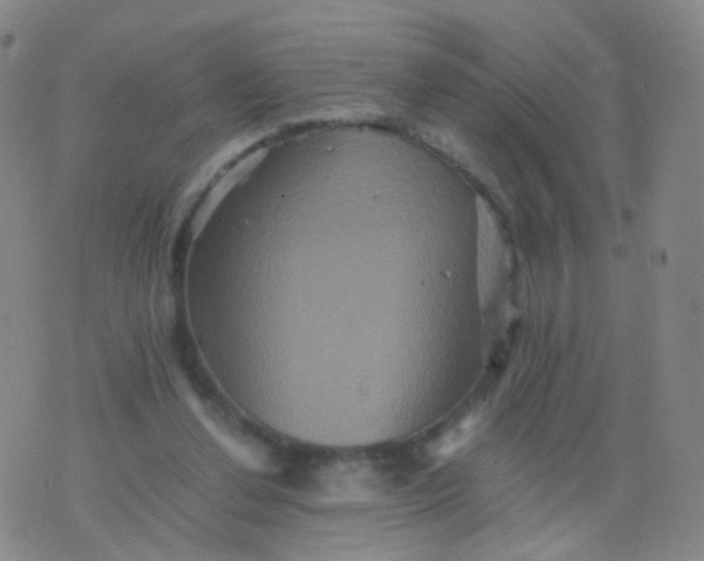 X0000076450252200610202342