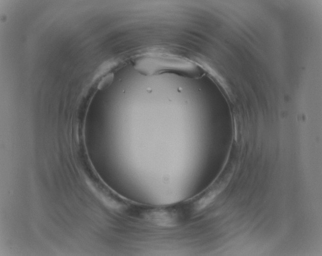 X0000076450253200610202342