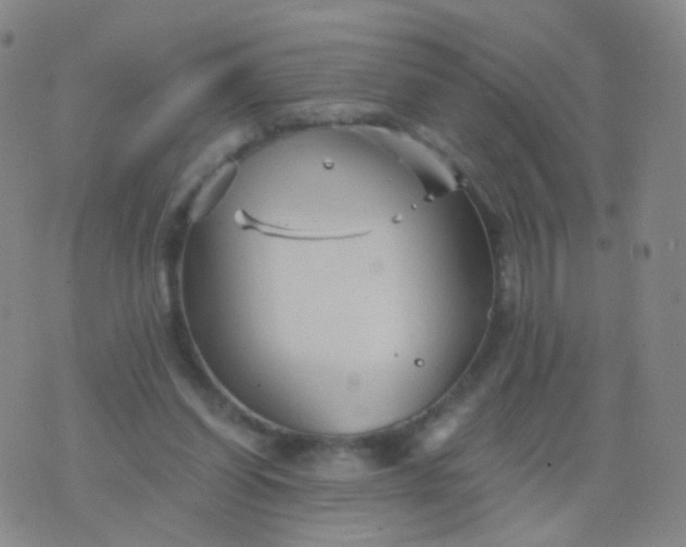 X0000076450254200610202342