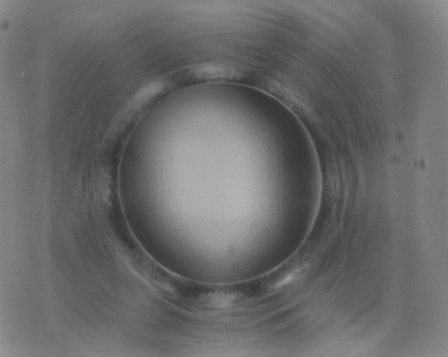 X0000076450255200610202342