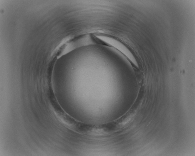 X0000076450256200610202342