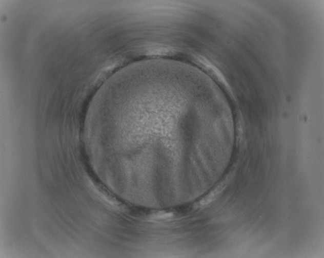 X0000076450257200610202342