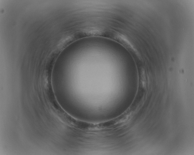 X0000076450259200610202342