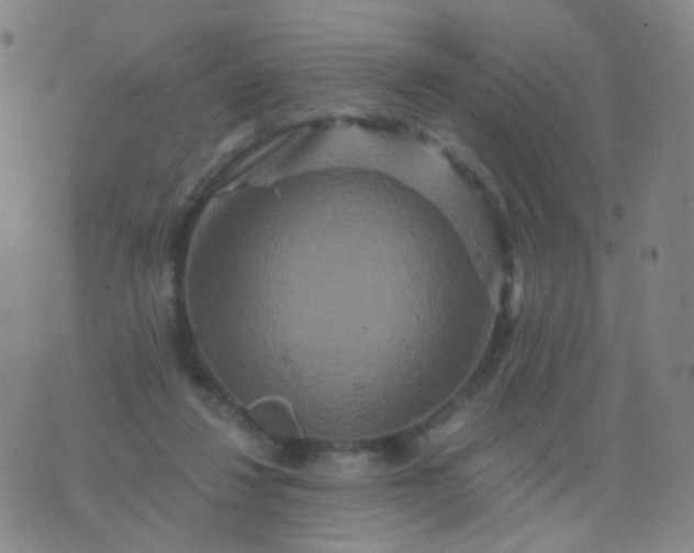 X0000076450260200610202342