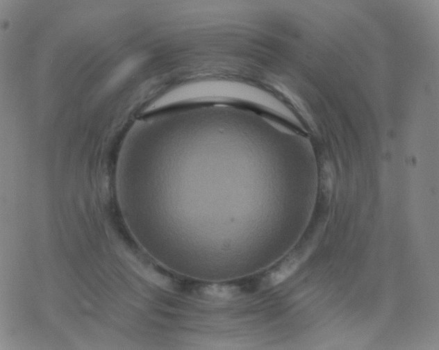 X0000076450261200610202342