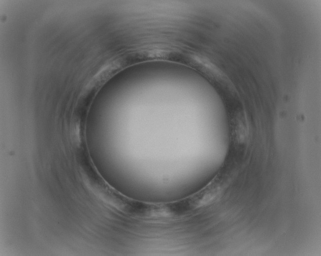 X0000076450262200610202342