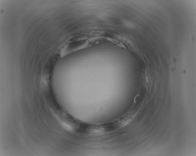 X0000076450263200610202342