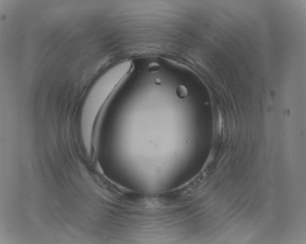 X0000076450264200610202342