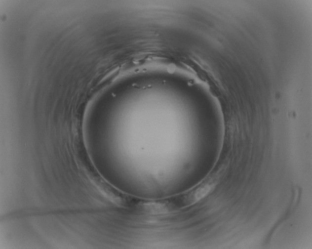 X0000076450265200610202342