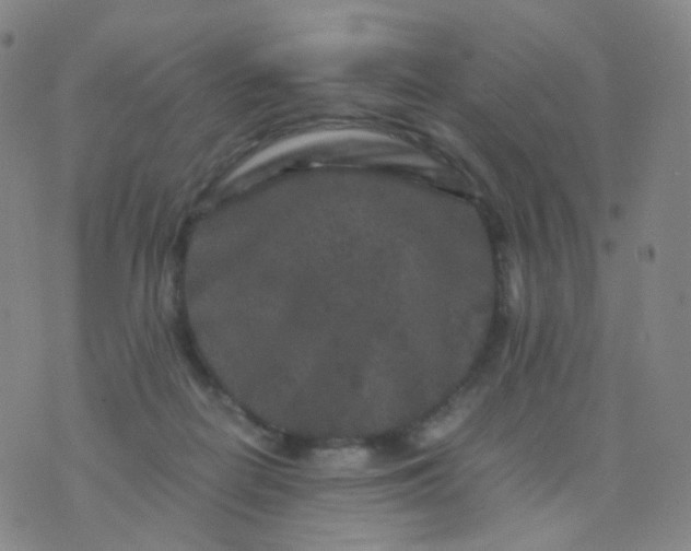 X0000076450266200610202342