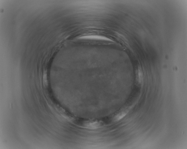 X0000076450267200610202342