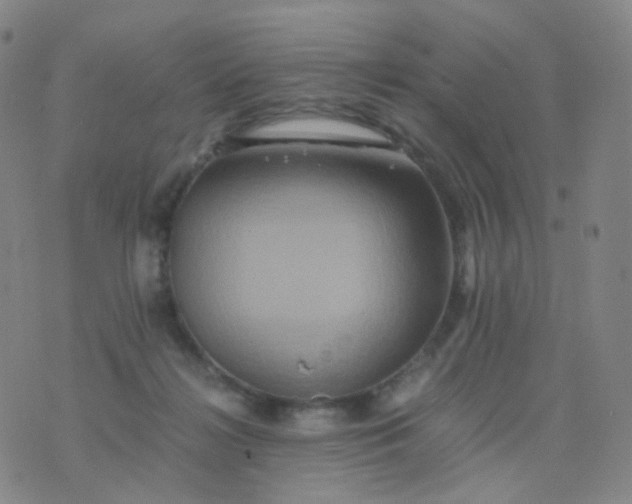 X0000076450268200610202342