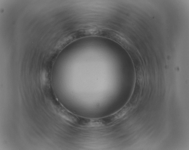 X0000076450270200610202342