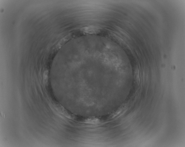 X0000076450271200610202342