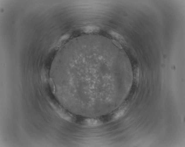 X0000076450272200610202342