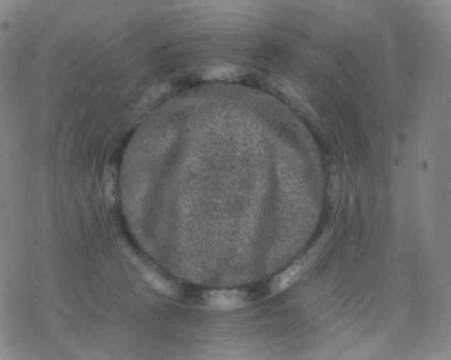 X0000076450273200610202342