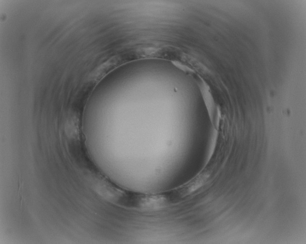 X0000076450274200610202342