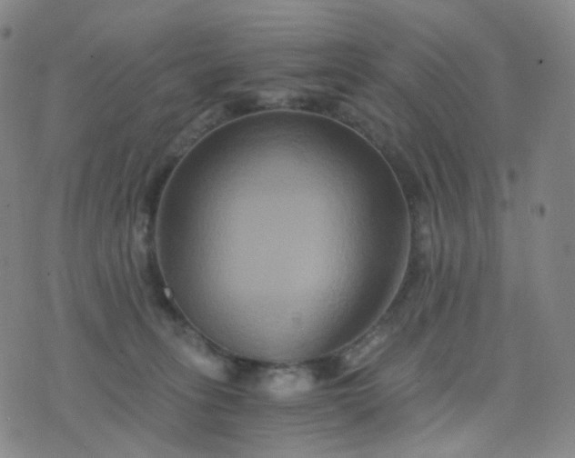 X0000076450275200610202342