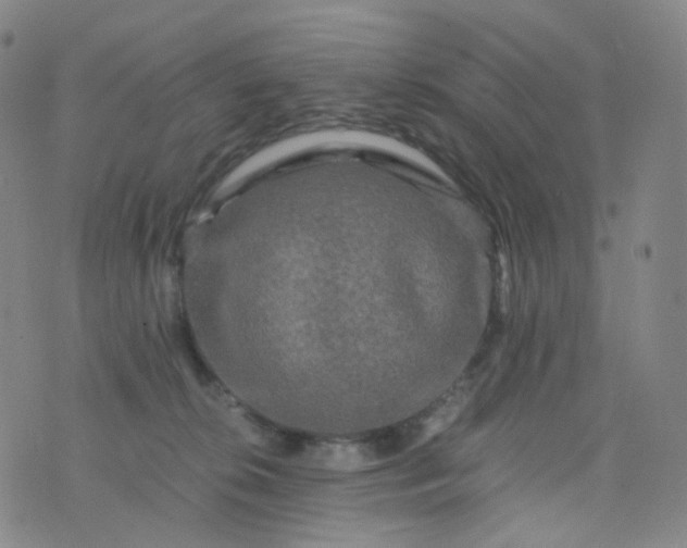 X0000076450276200610202342