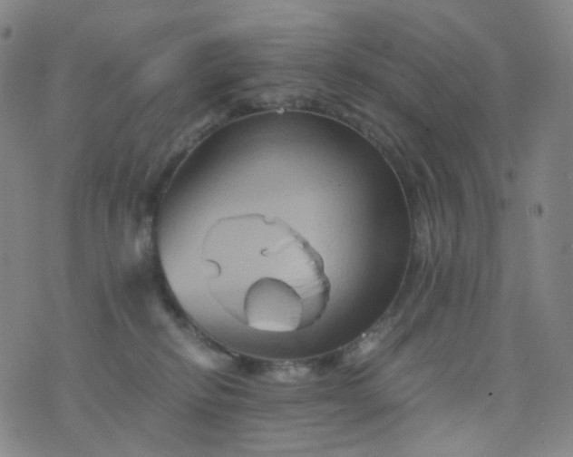 X0000076450278200610202342