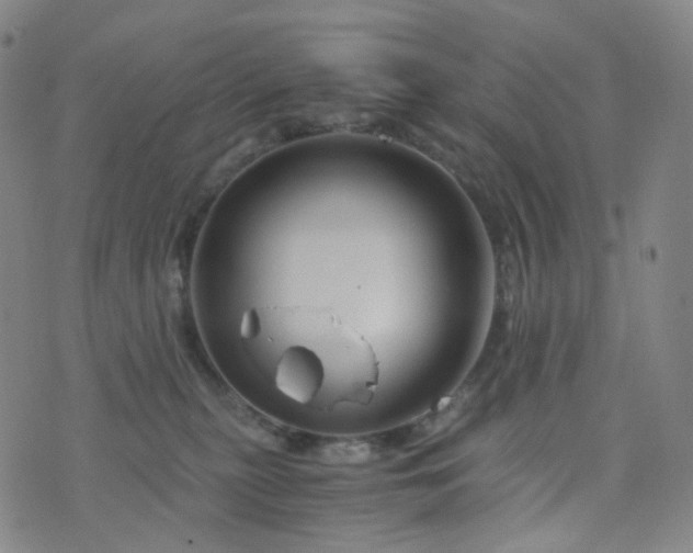 X0000076450279200610202342