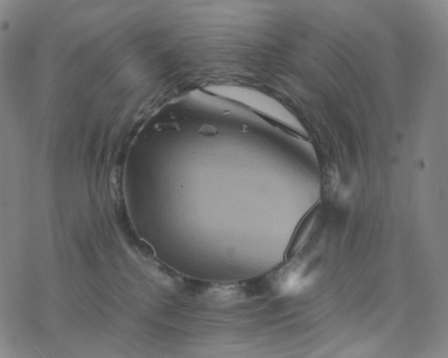 X0000076450280200610202342