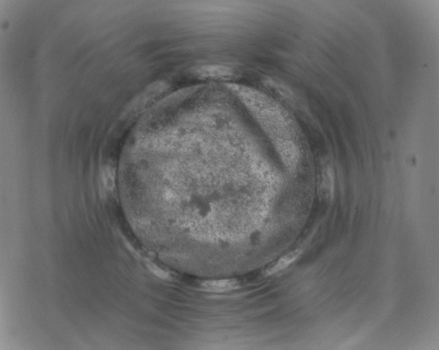 X0000076450281200610202342