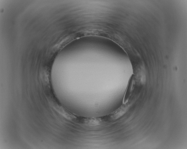 X0000076450282200610202342