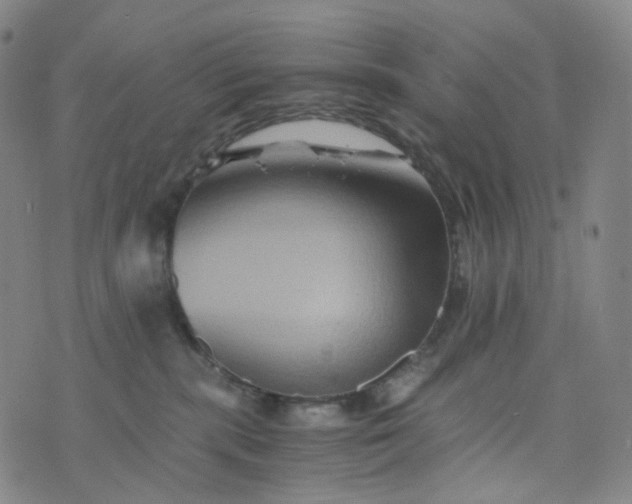 X0000076450283200610202342