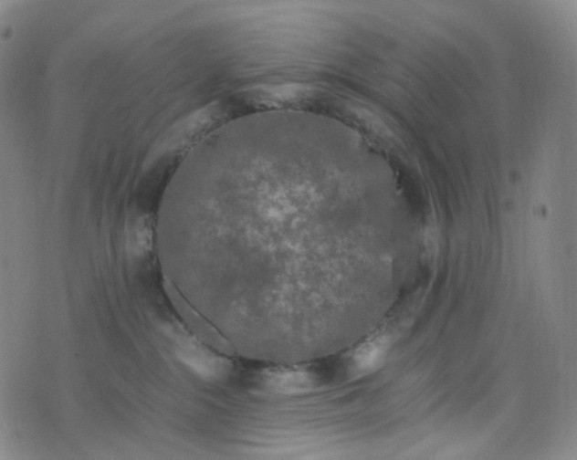 X0000076450284200610202342