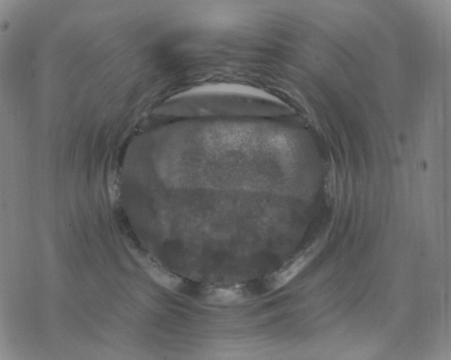 X0000076450285200610202342