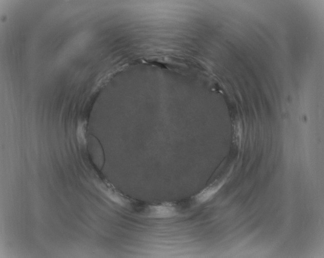 X0000076450286200610202342