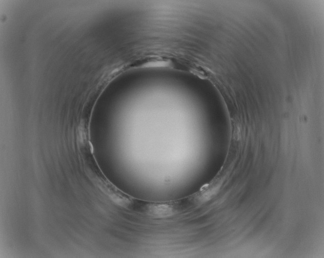 X0000076450287200610202342